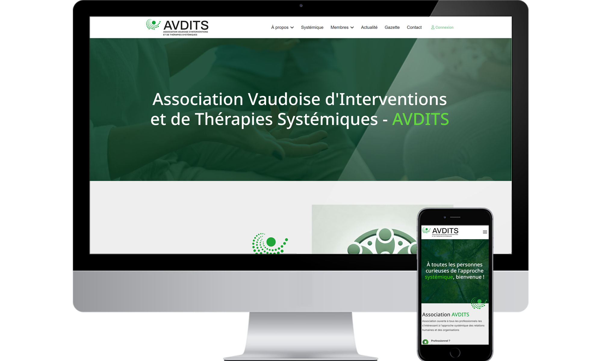 AVDITS